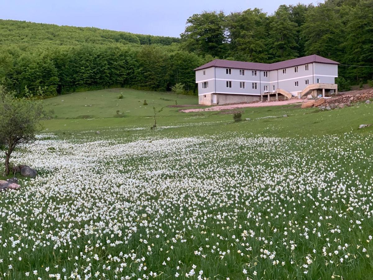 Bujtina Shehu Hotel Kukes Exterior photo